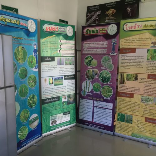 LINE_ALBUM_new2_250309_281